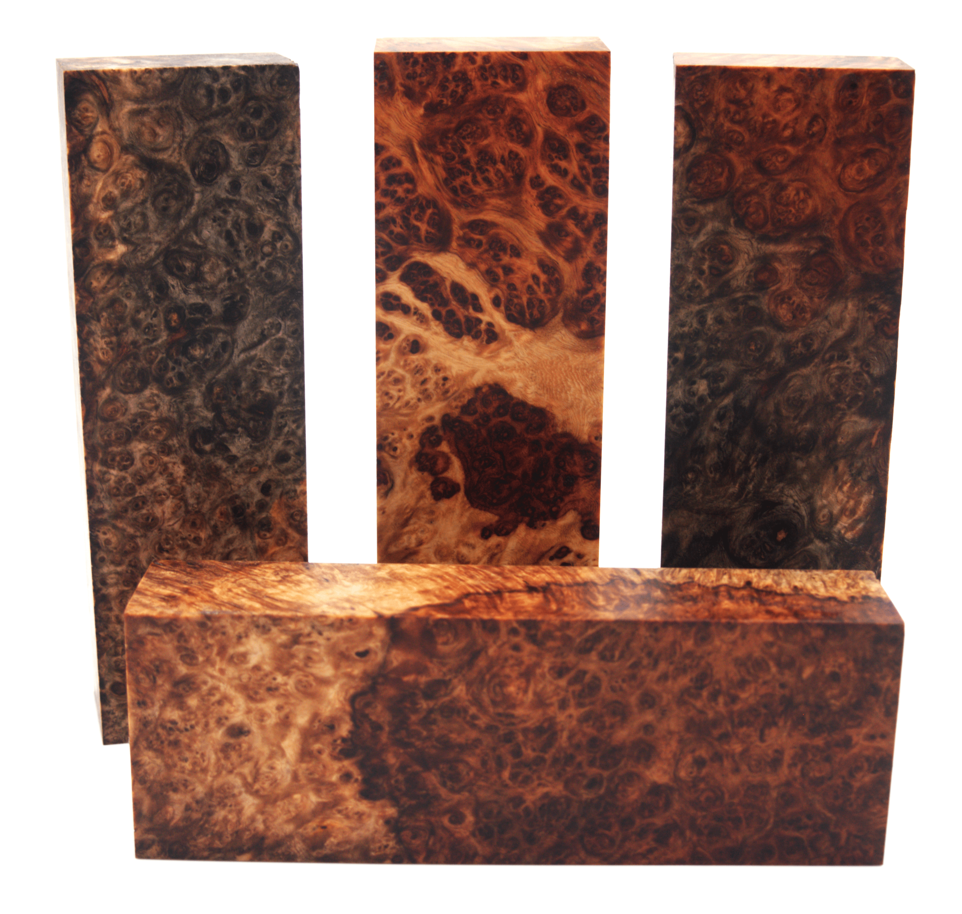 Stabilisierte Amboina - Knifematerial.at