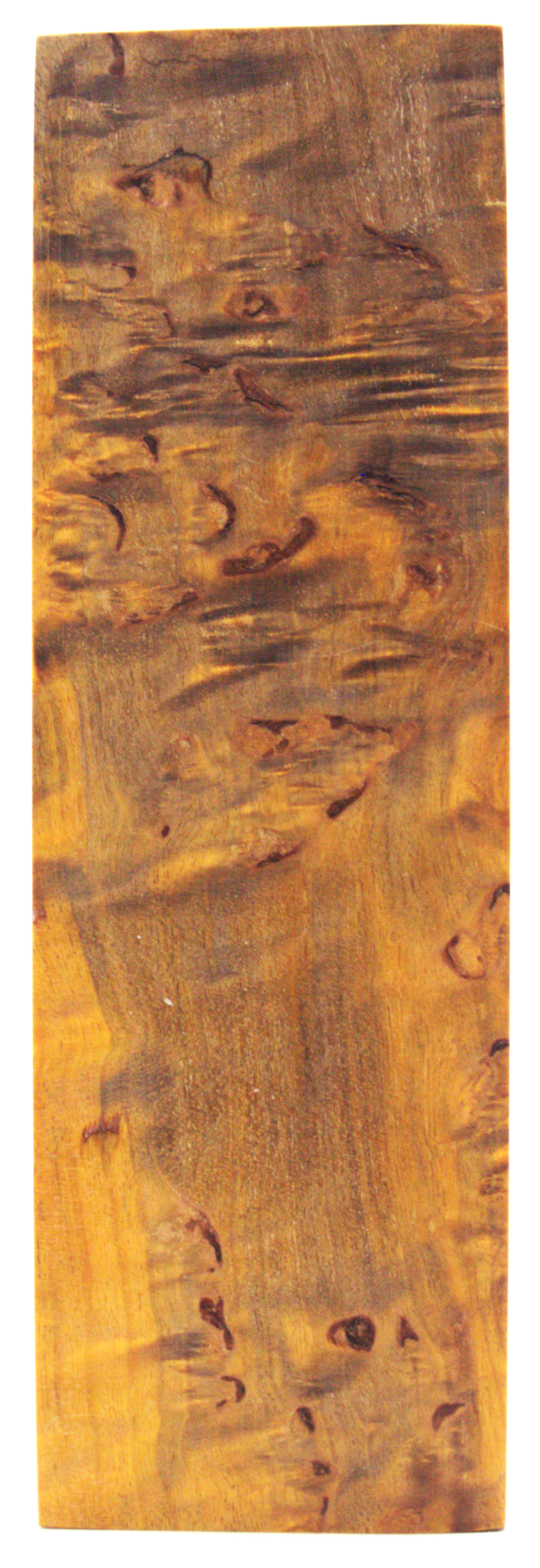 Karelian curly birch #103 - 0