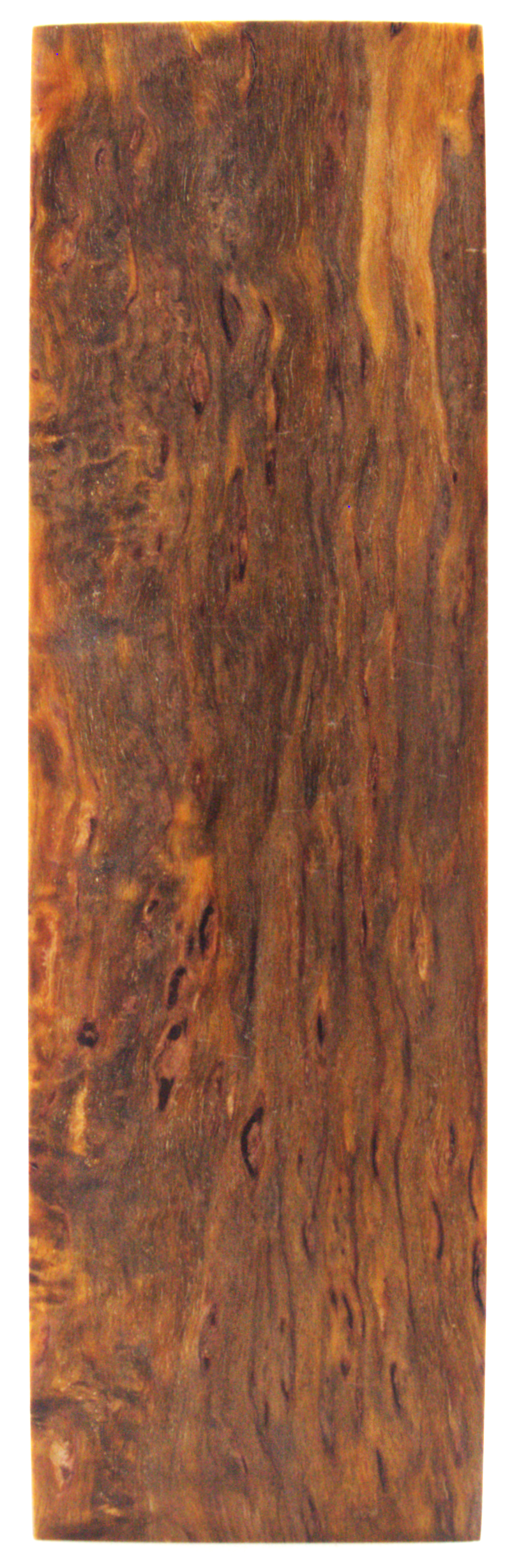 Karelian curly birch #109 - 0