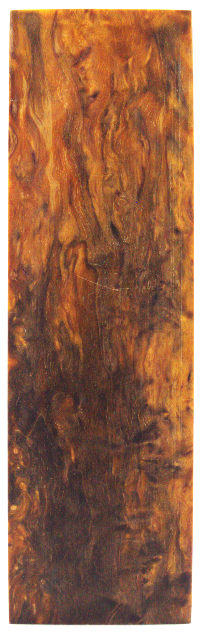 Karelian curly birch #109