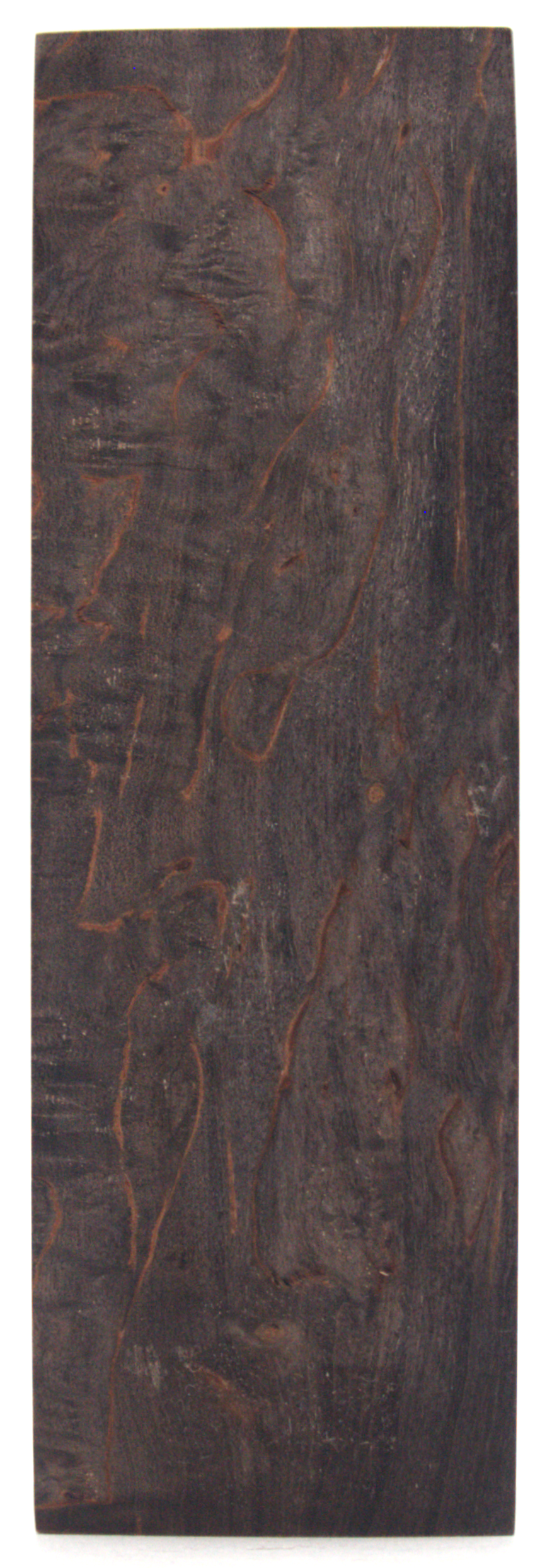 Karelian curly birch #118