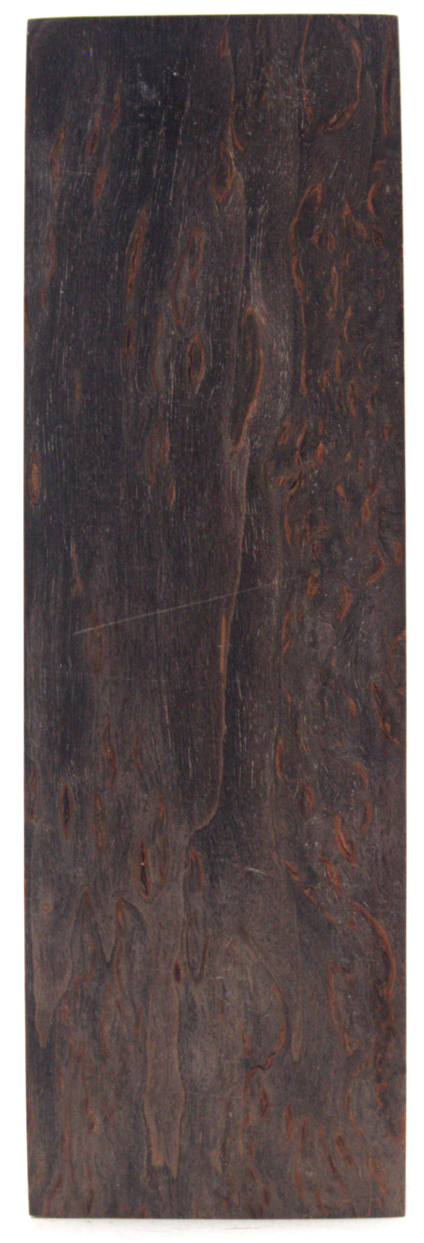 Karelian curly birch #119