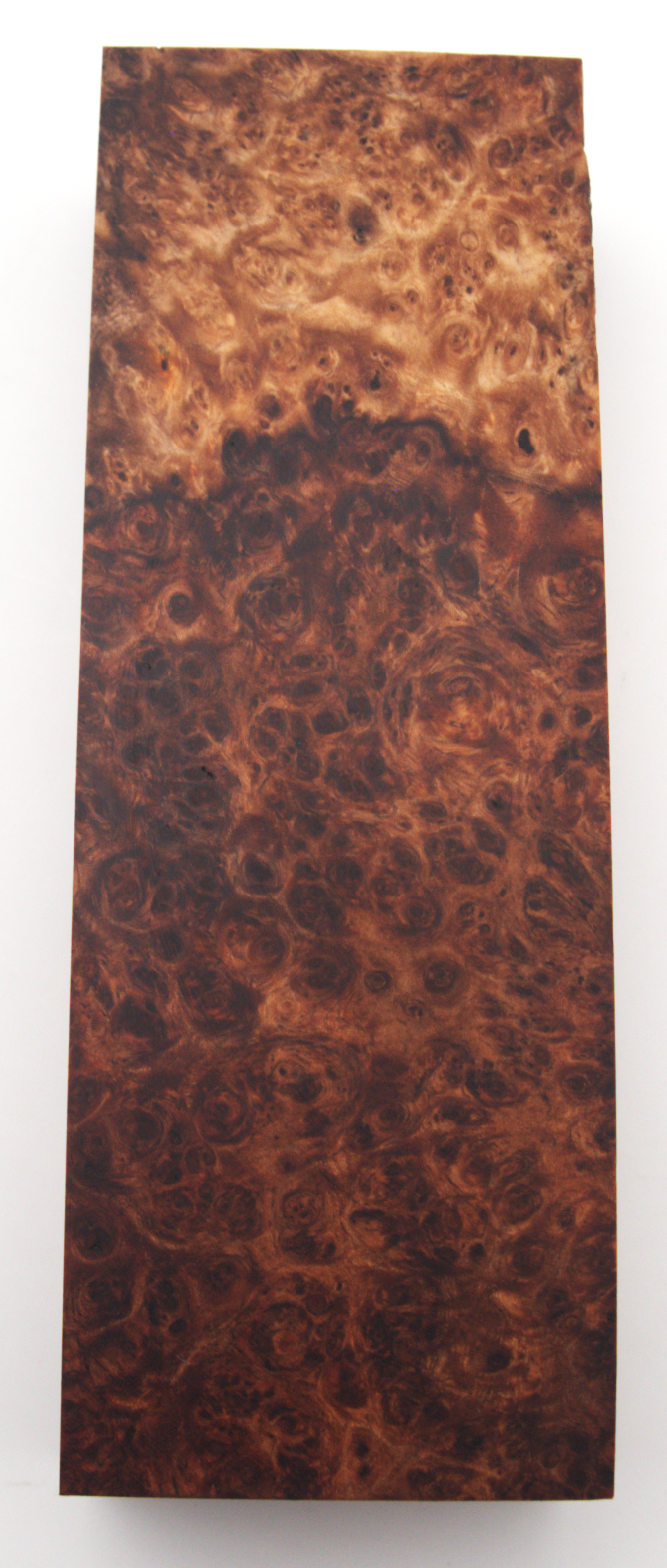 Stabilized Amboyna #12
