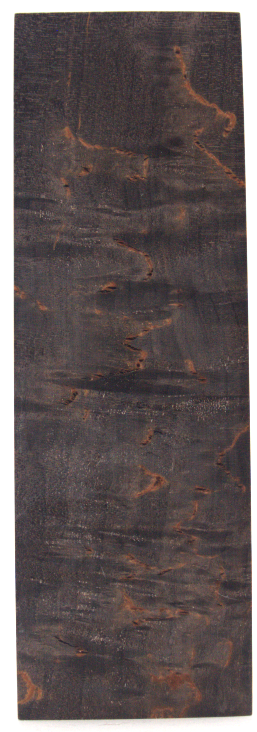 Karelian curly birch #120