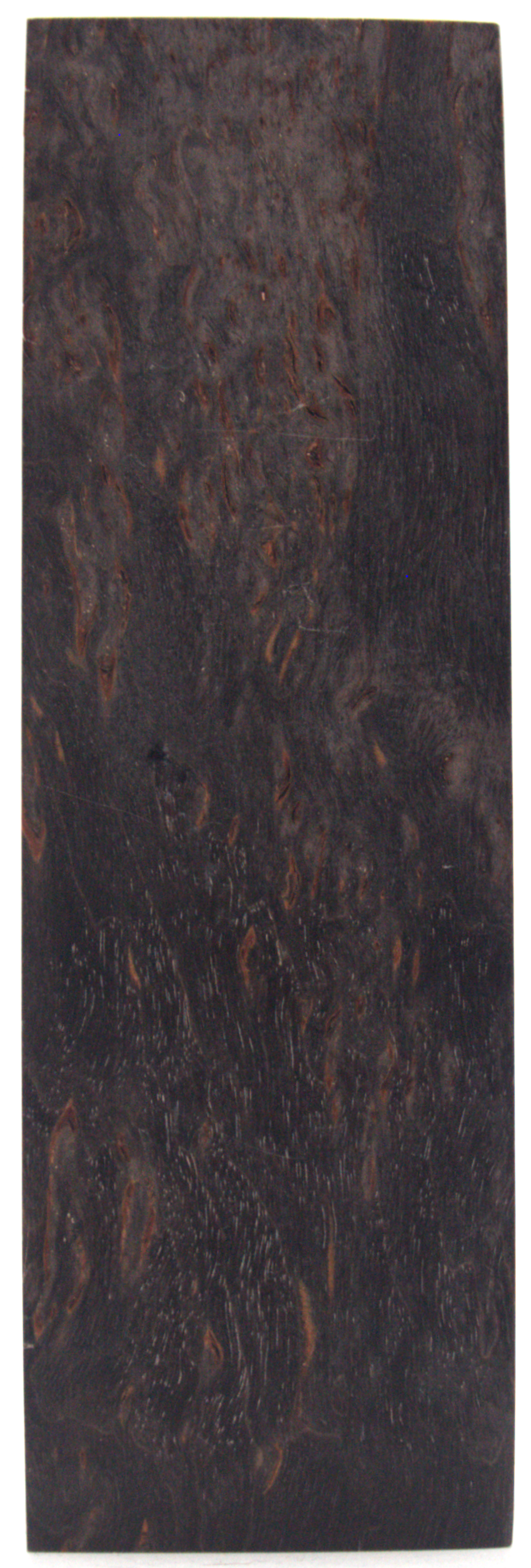 Karelian curly birch #121