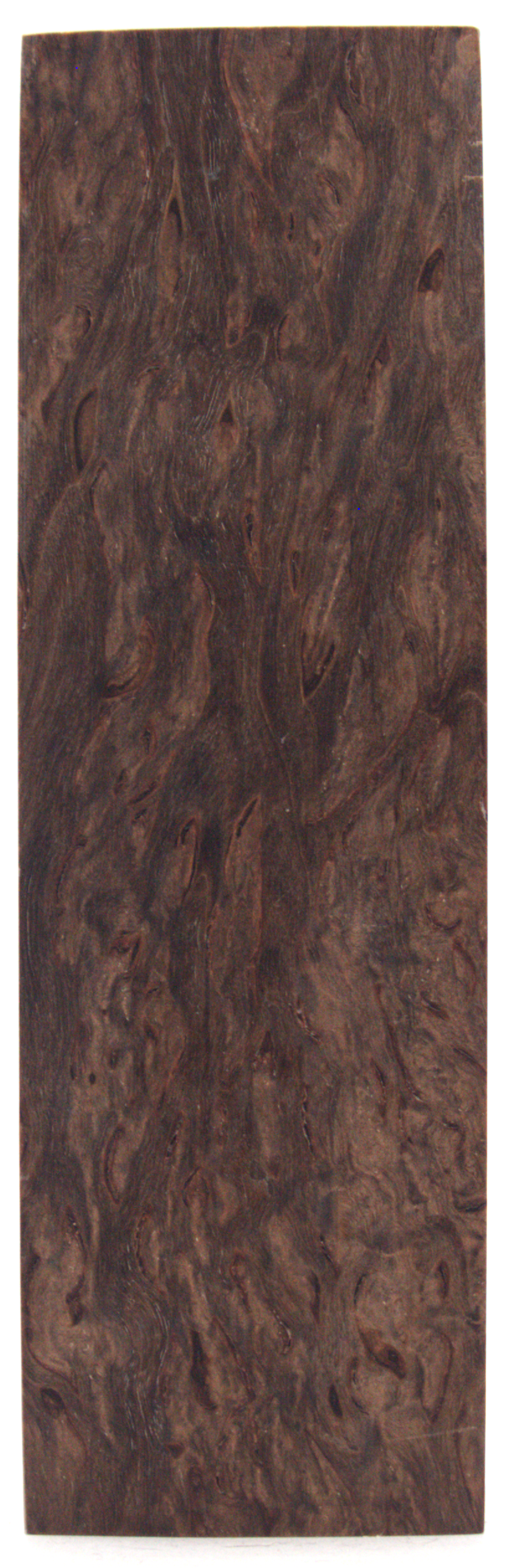 Karelian curly birch #126