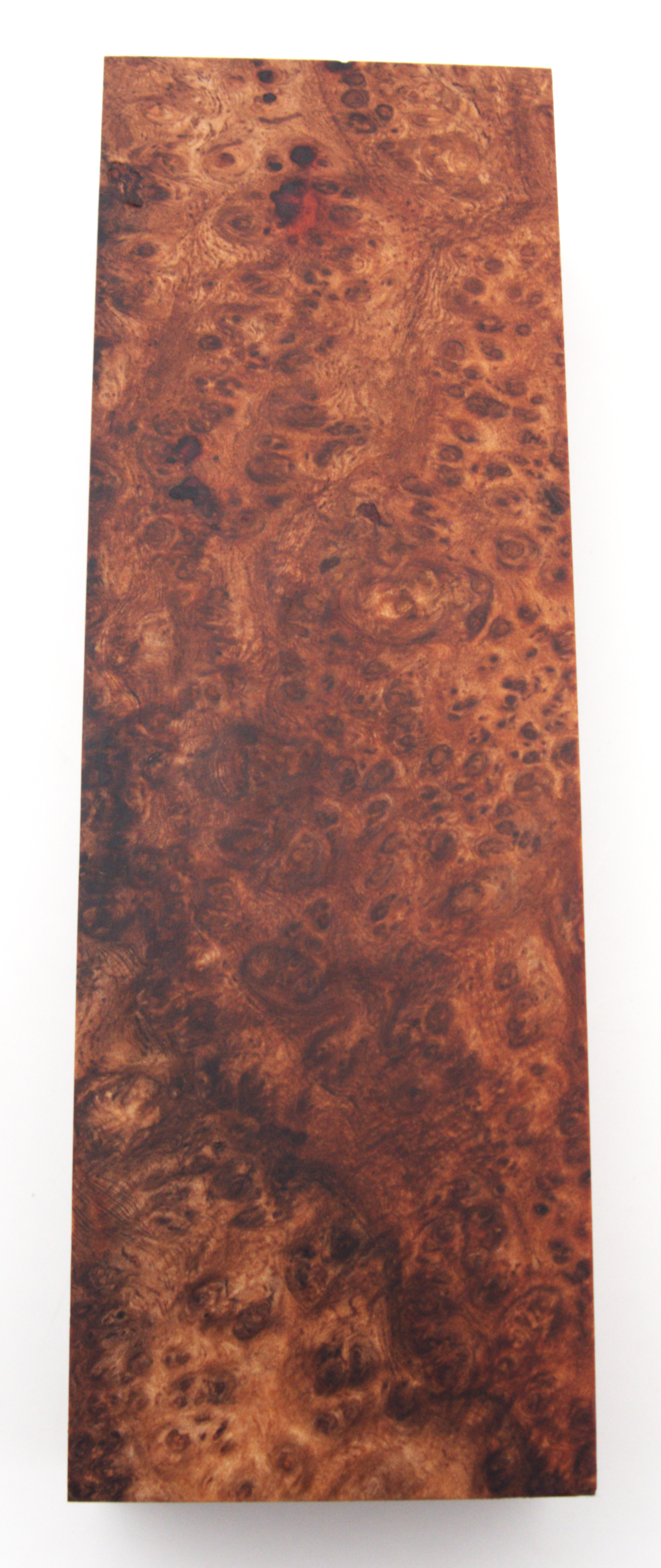 Stabilized Amboyna #13