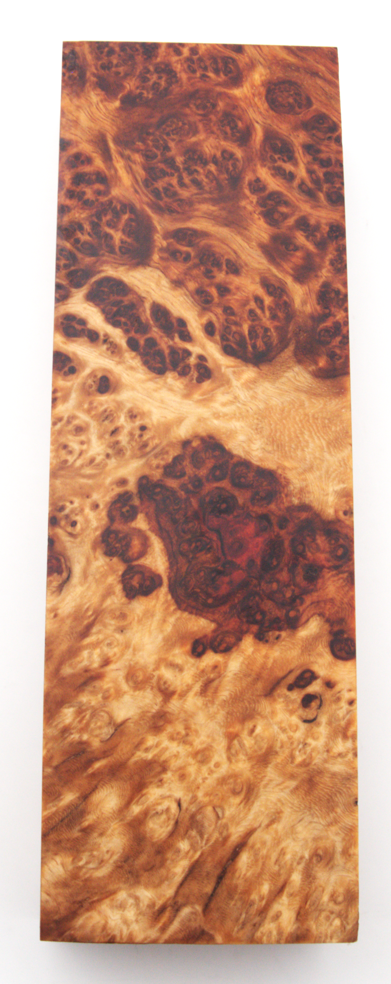 Stabilized Amboyna #15