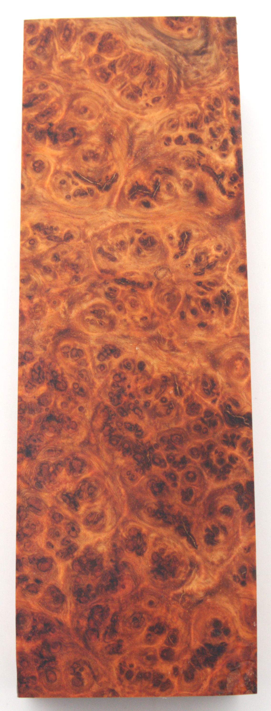 Stabilized Amboyna #18