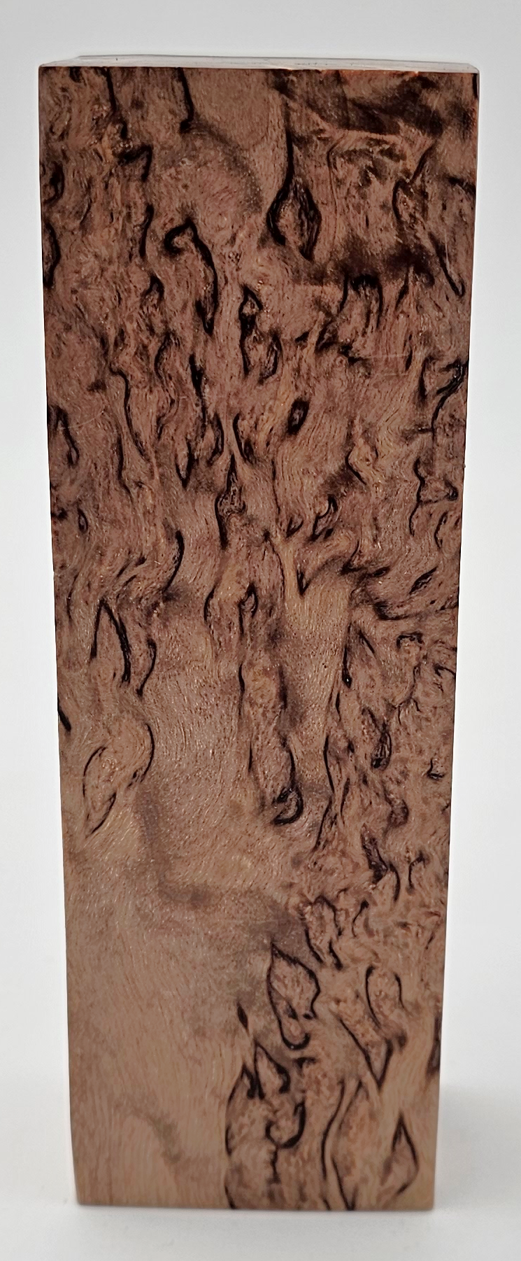 Karelian curly birch #19