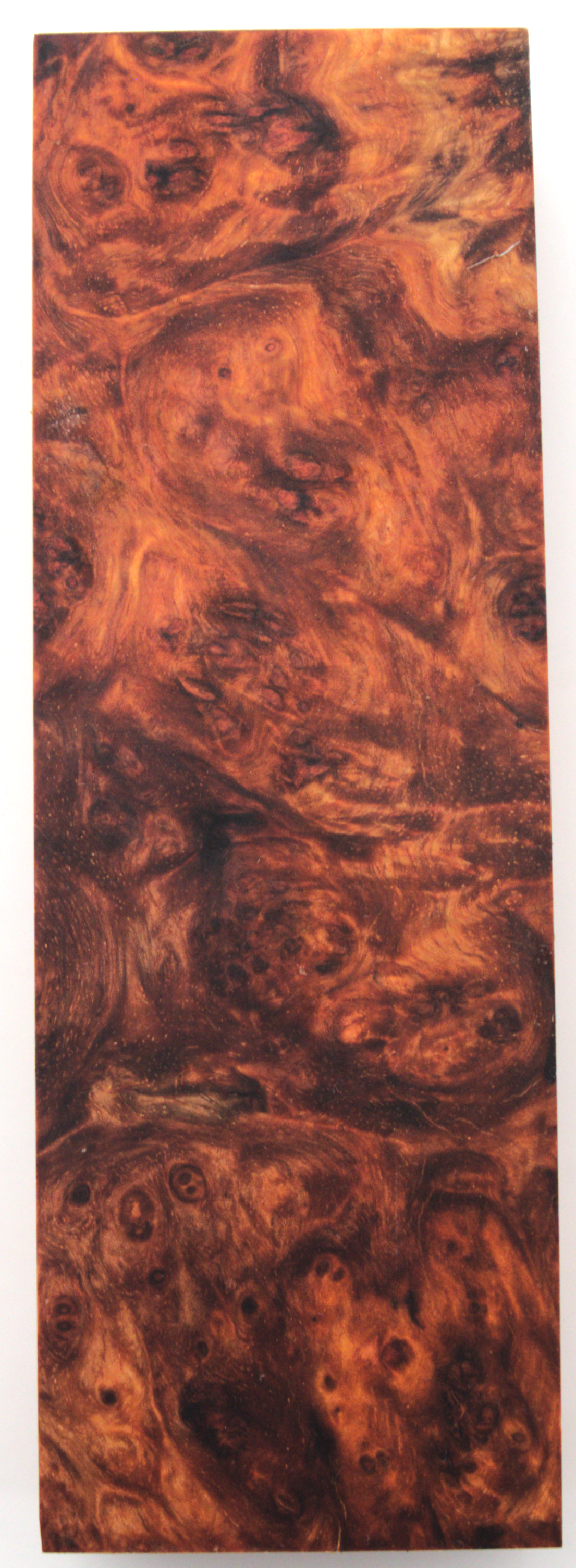 Stabilized Amboyna #19