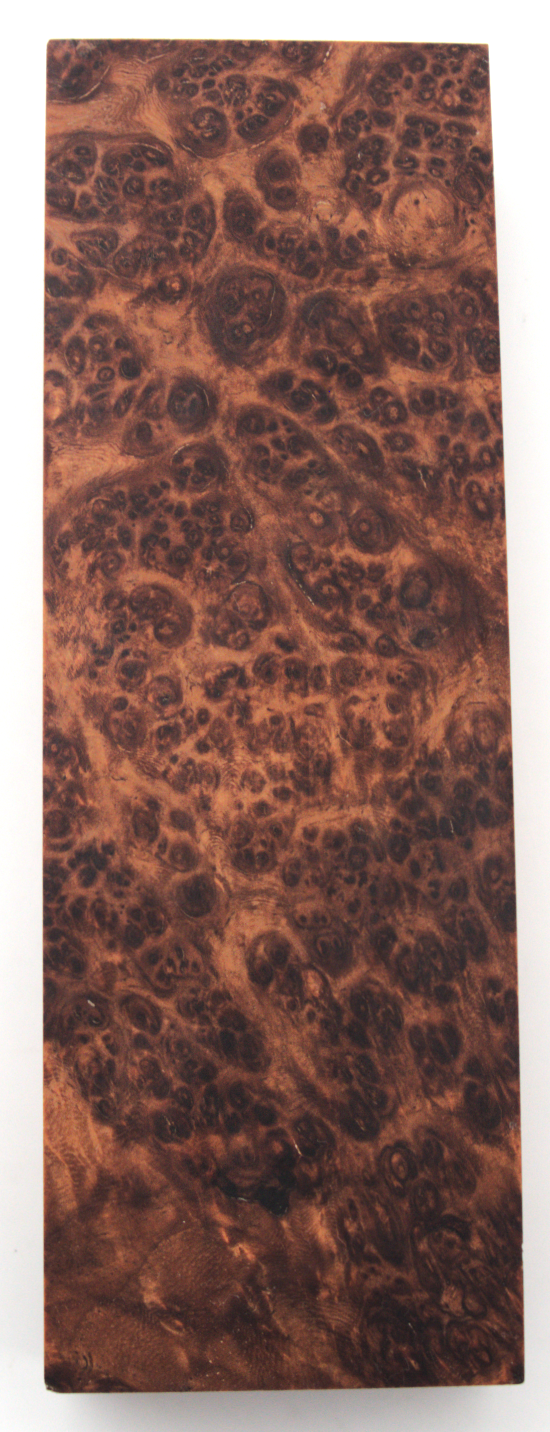 Stabilized Amboyna #20
