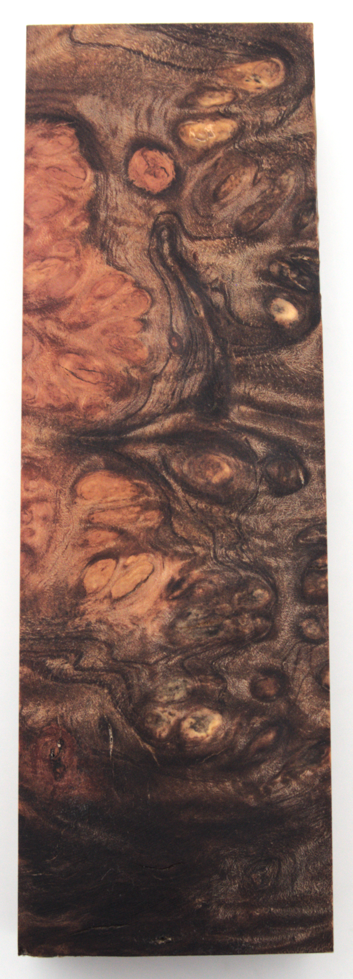 Stabilized Amboyna #21