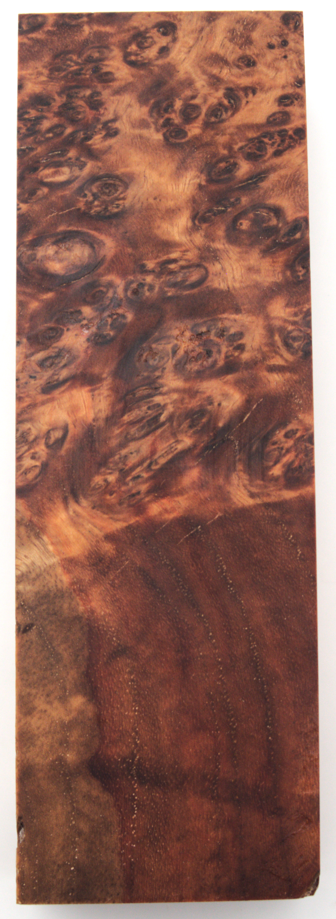 Stabilized Amboyna #22