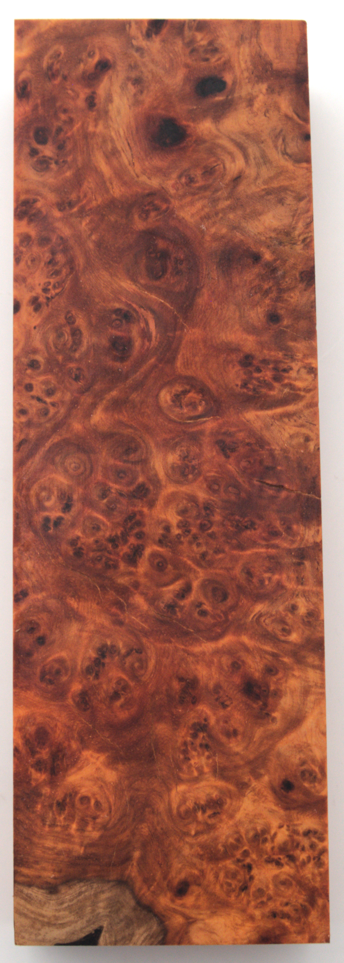 Stabilized Amboyna #24