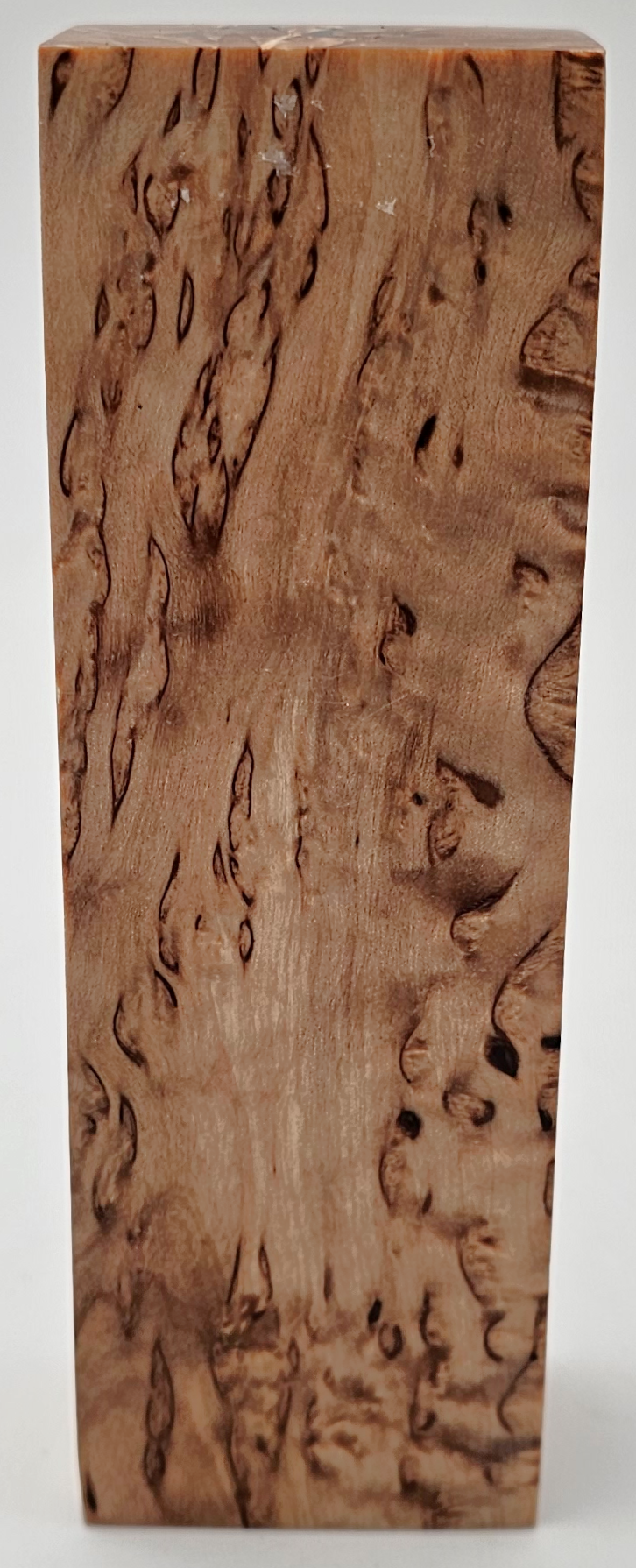 Karelian curly birch #26