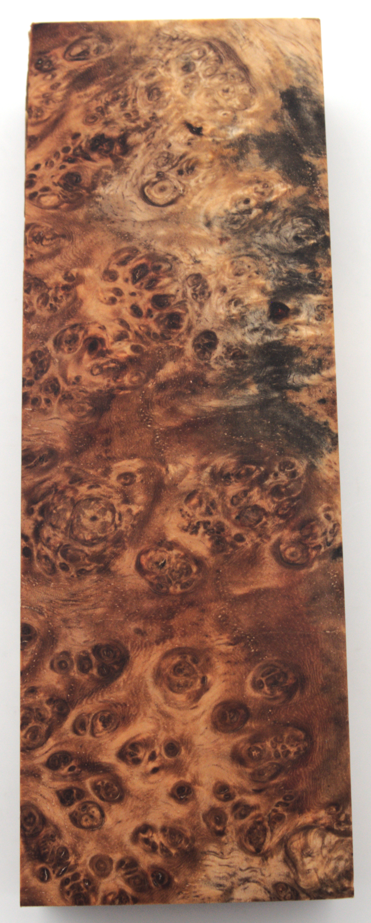 Stabilized Amboyna #26