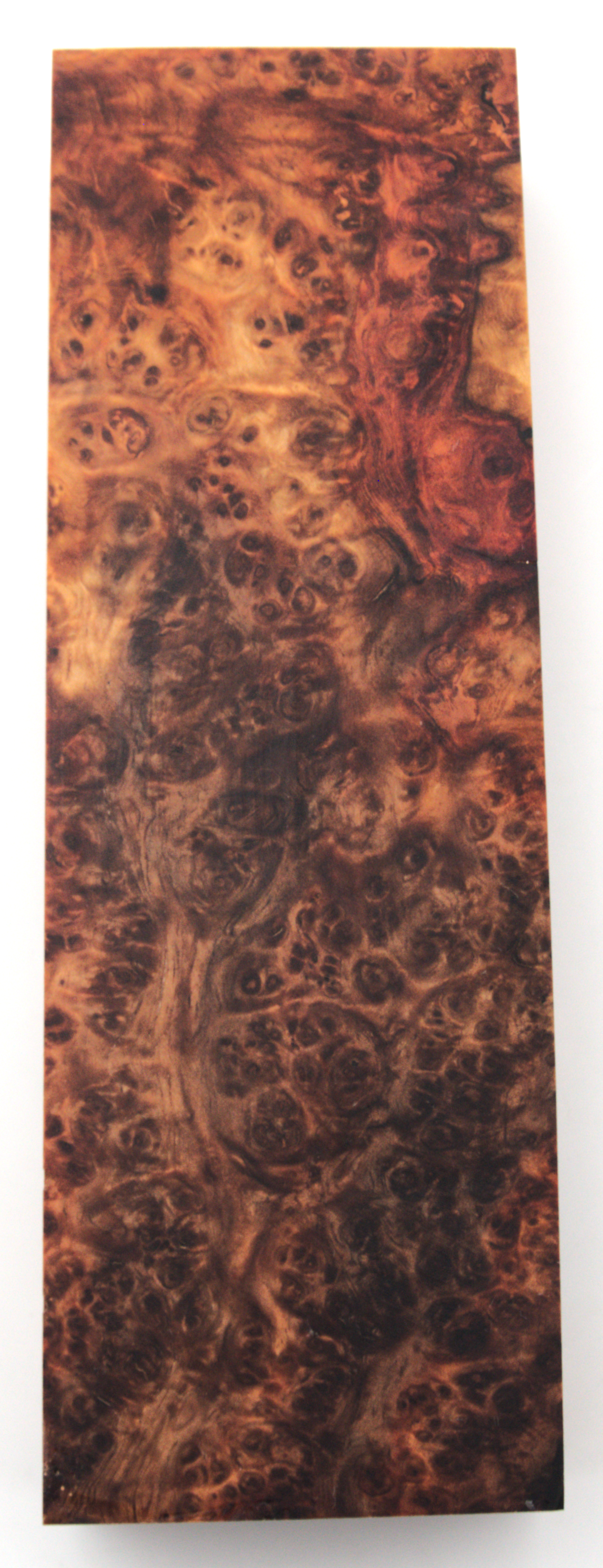 Stabilized Amboyna #27