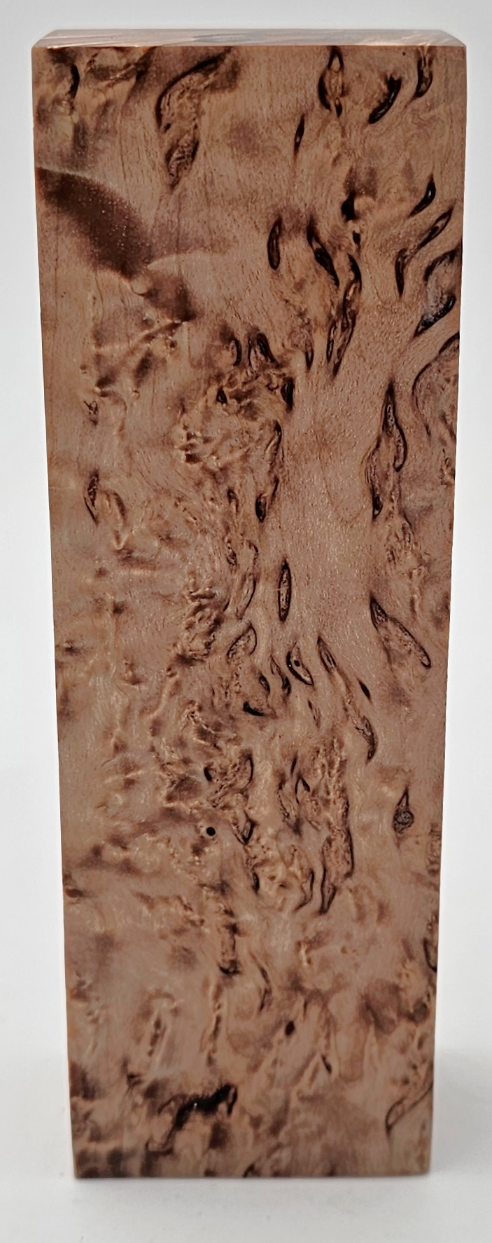 Karelian curly birch #28