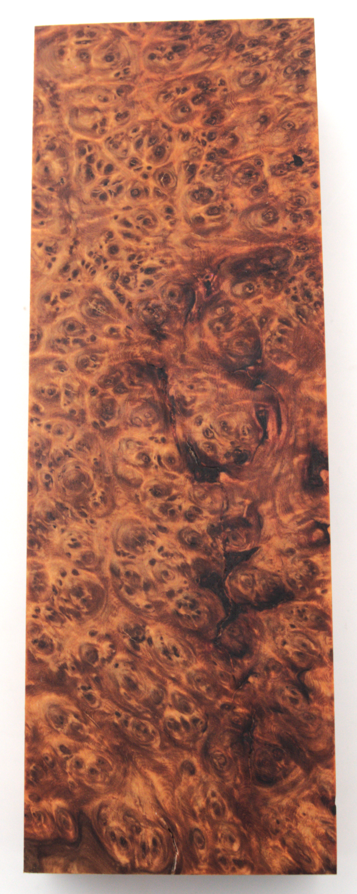 Stabilized Amboyna #28
