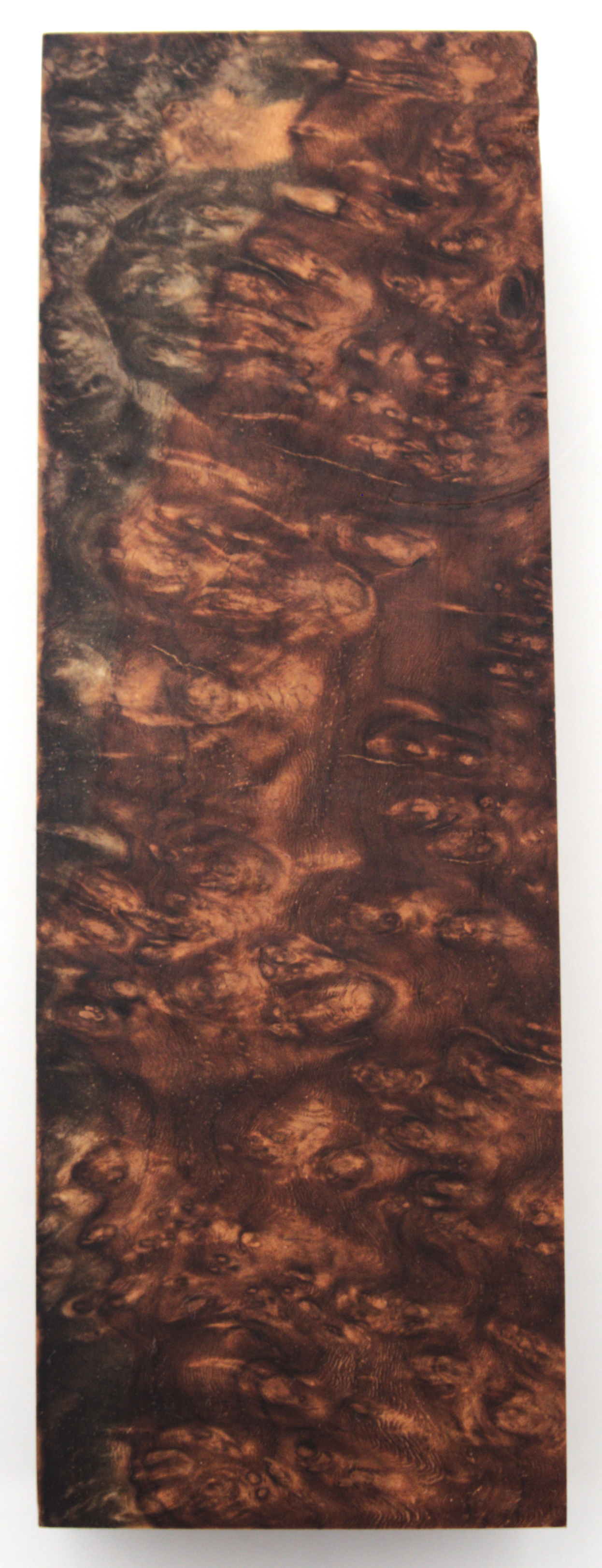 Stabilized Amboyna #29