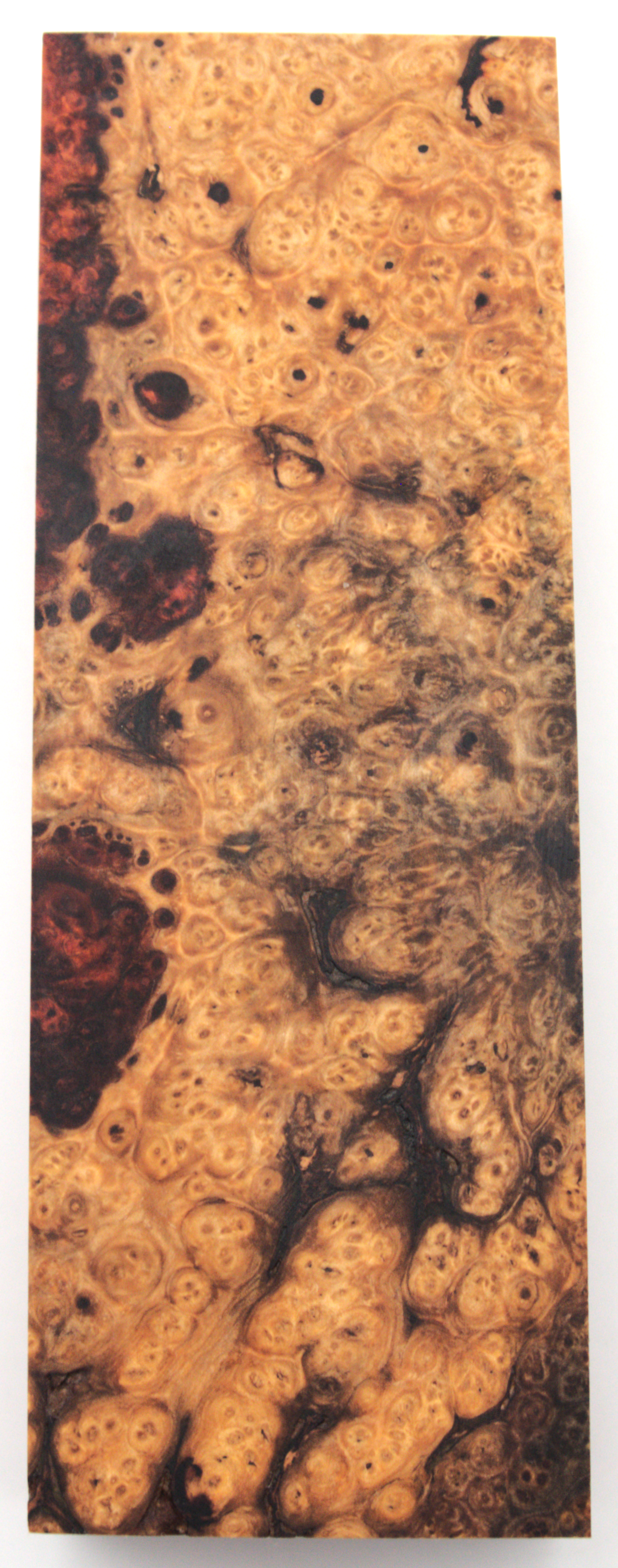 Stabilized Amboyna #30
