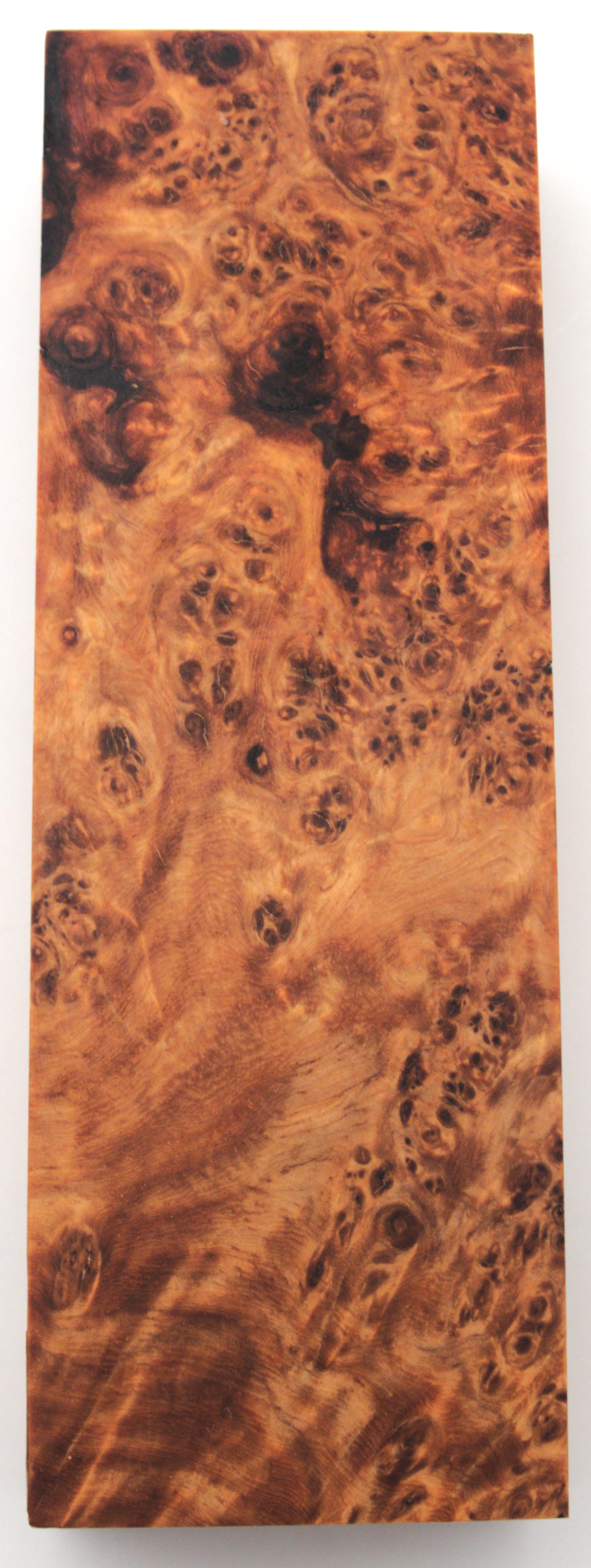 Stabilized Amboyna #31