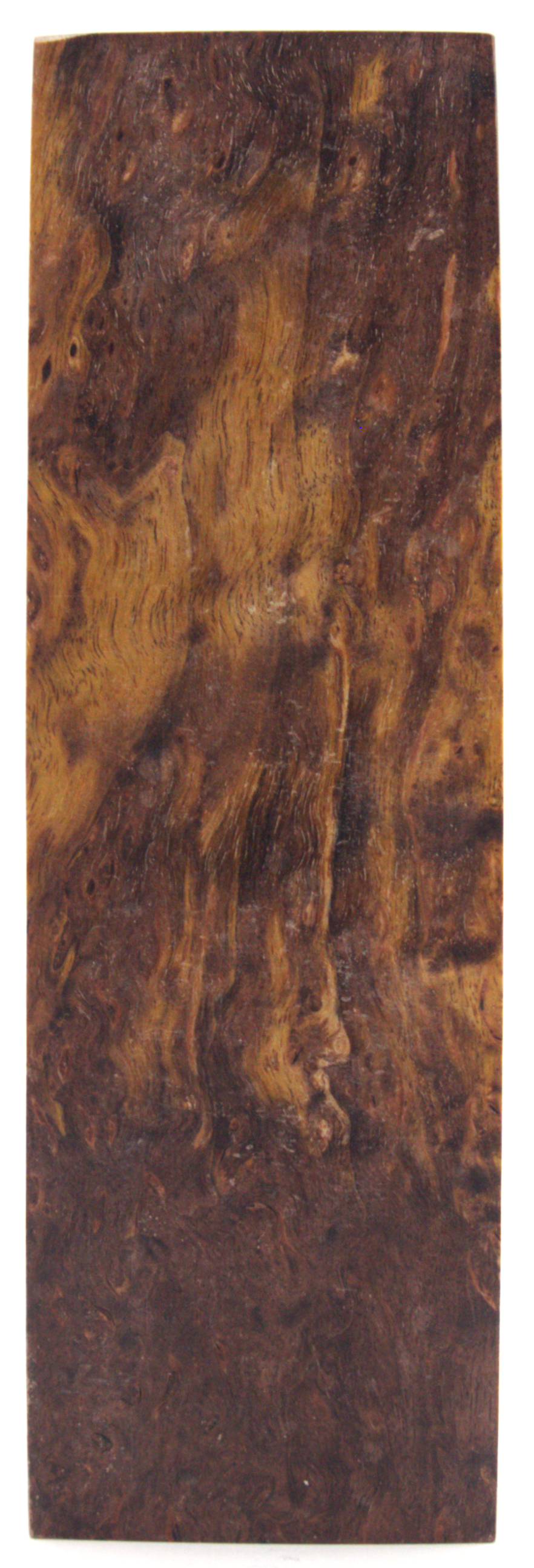 Karelian birch #319 - 0