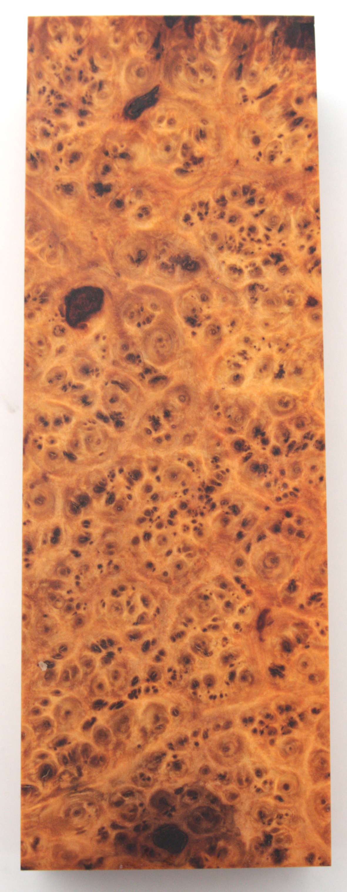 Stabilized Amboyna #32