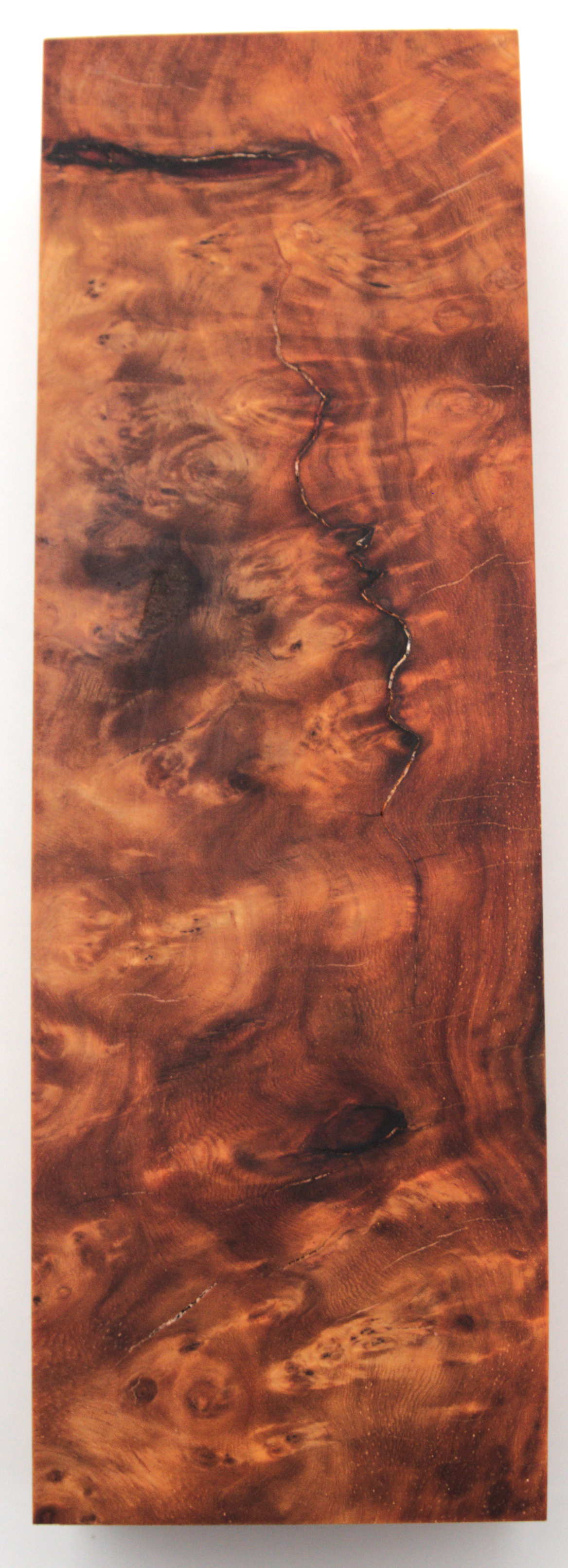Stabilized Amboyna #33