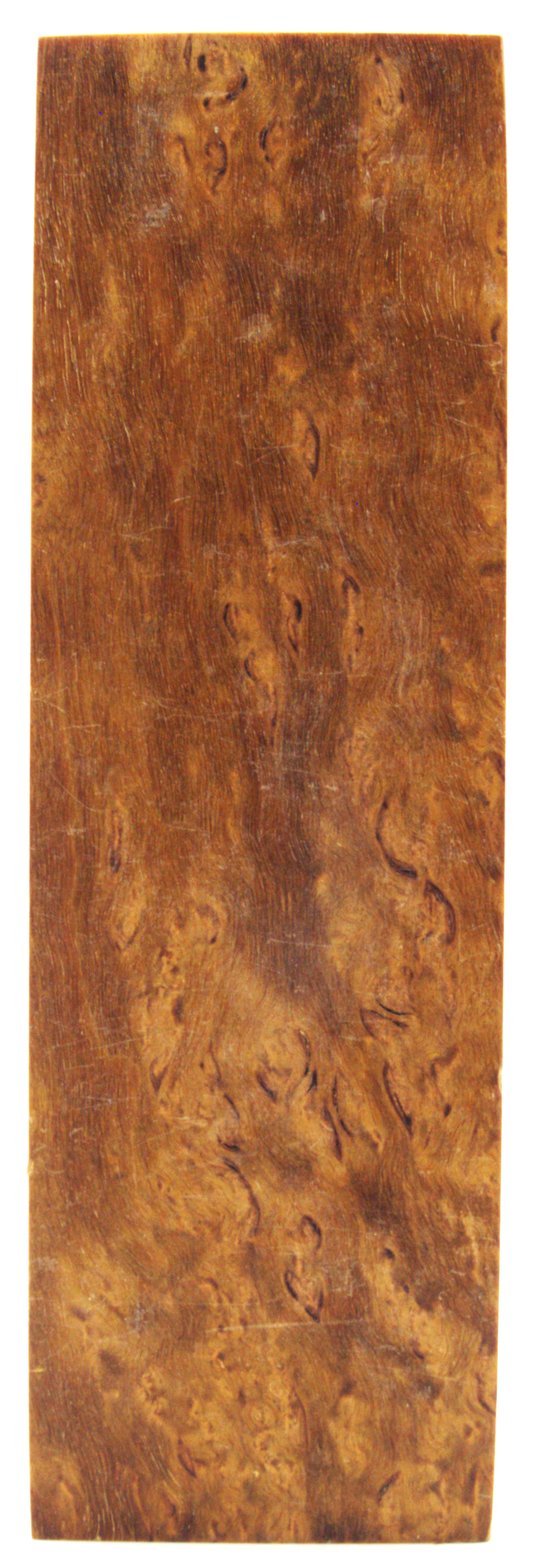 Karelian birch #338 - 0