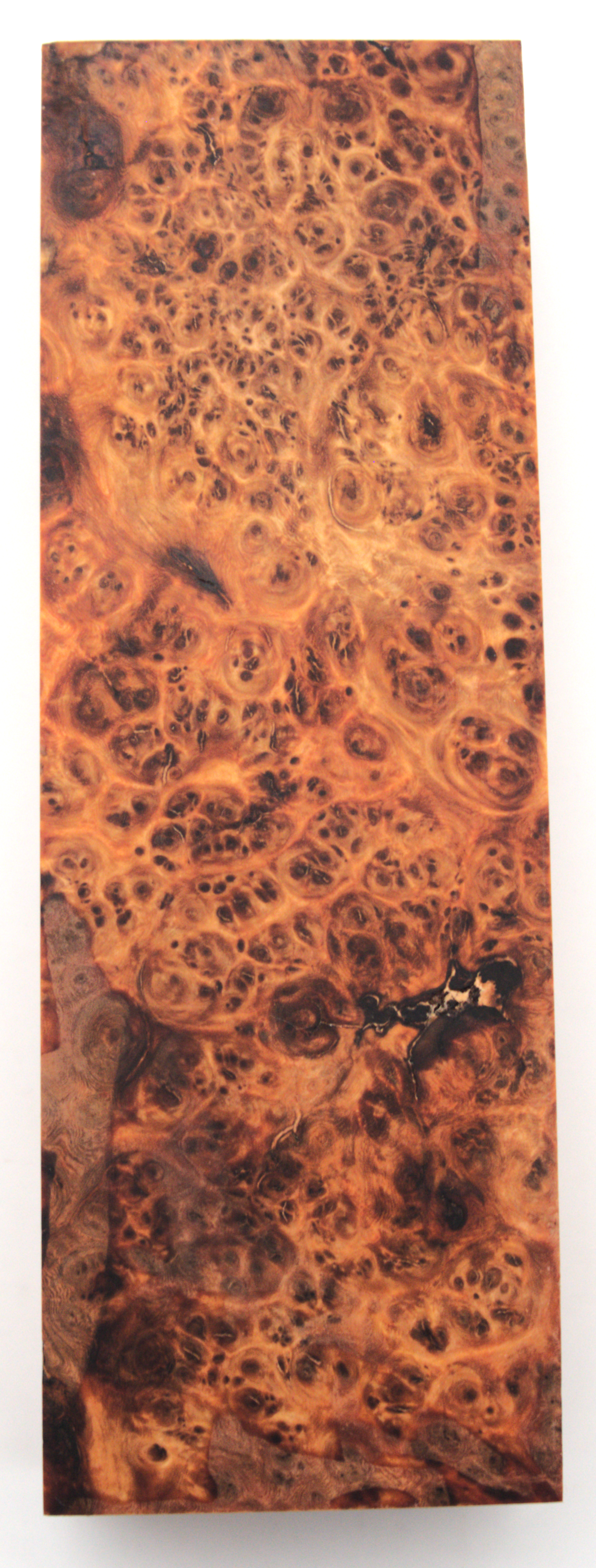 Stabilized Amboyna #35