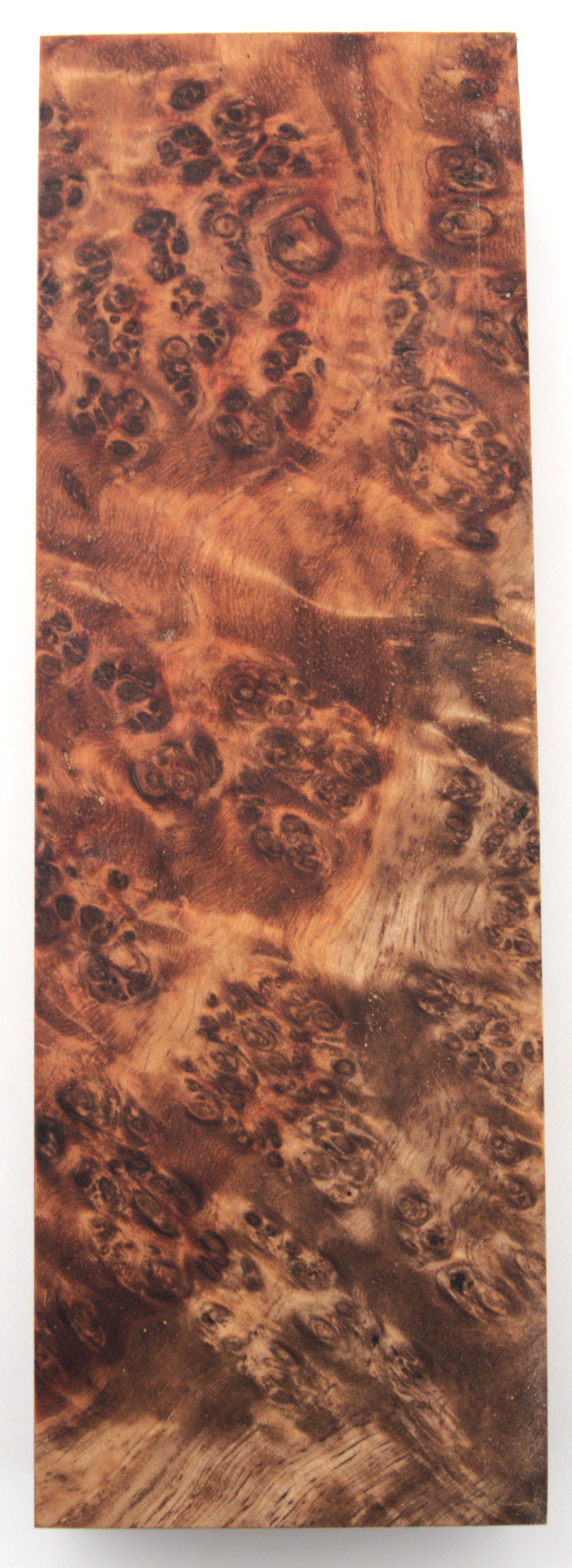 Stabilized Amboyna #36