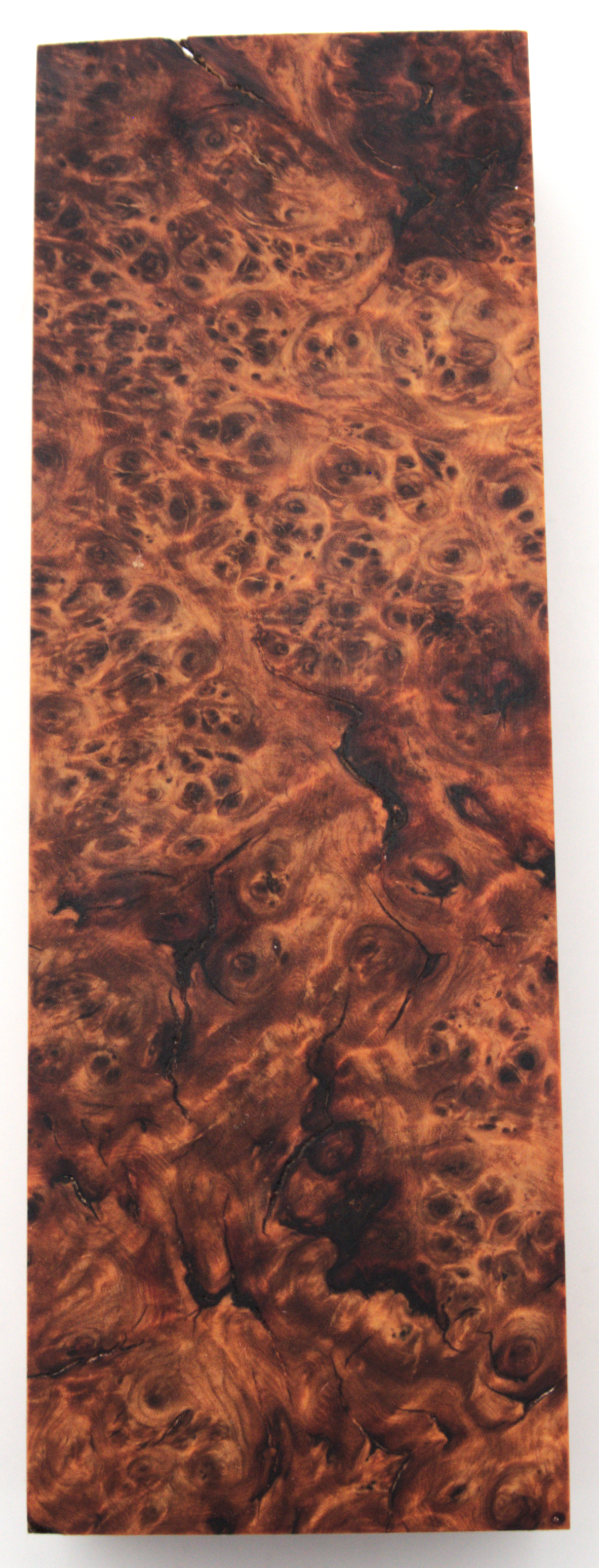 Stabilized Amboyna #37
