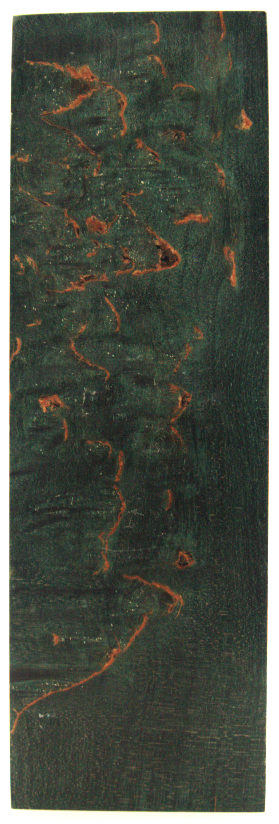 Karelian birch #376