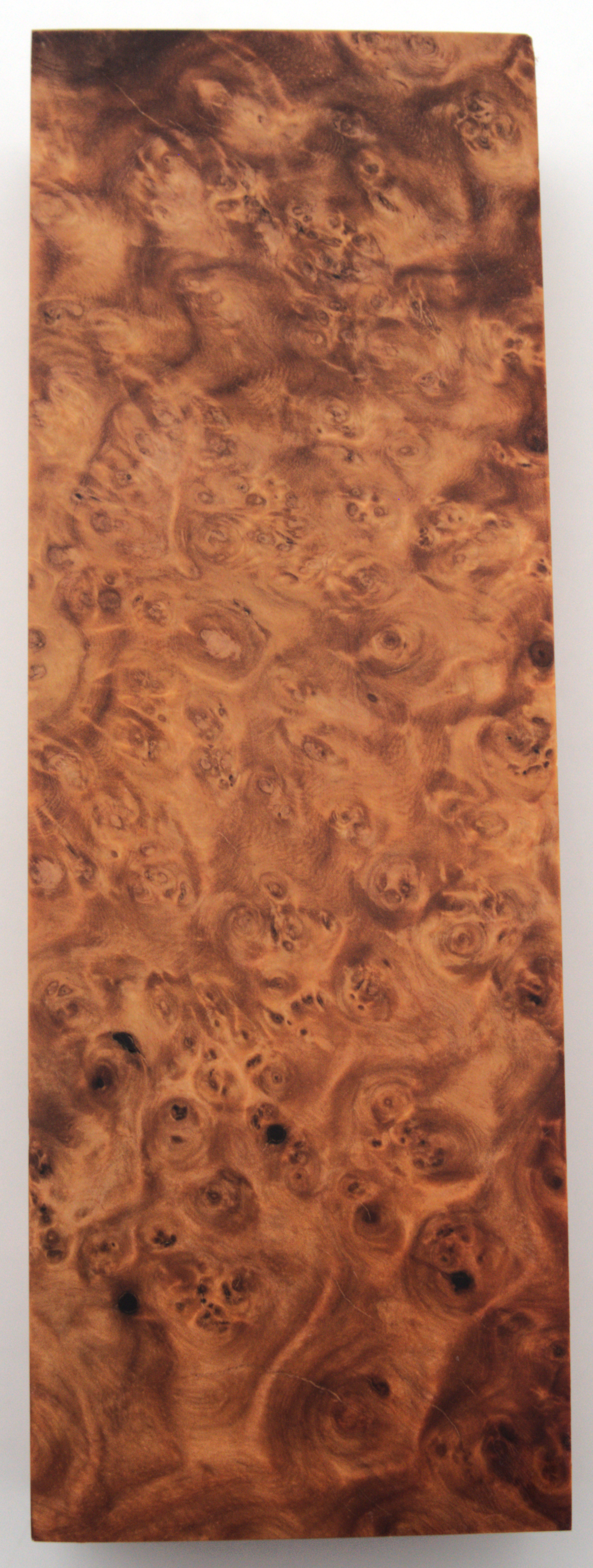 Stabilized Amboyna #38