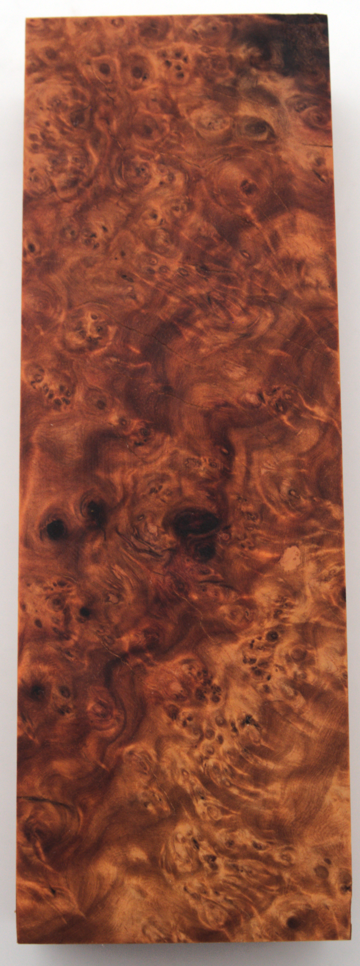 Stabilized Amboyna #39