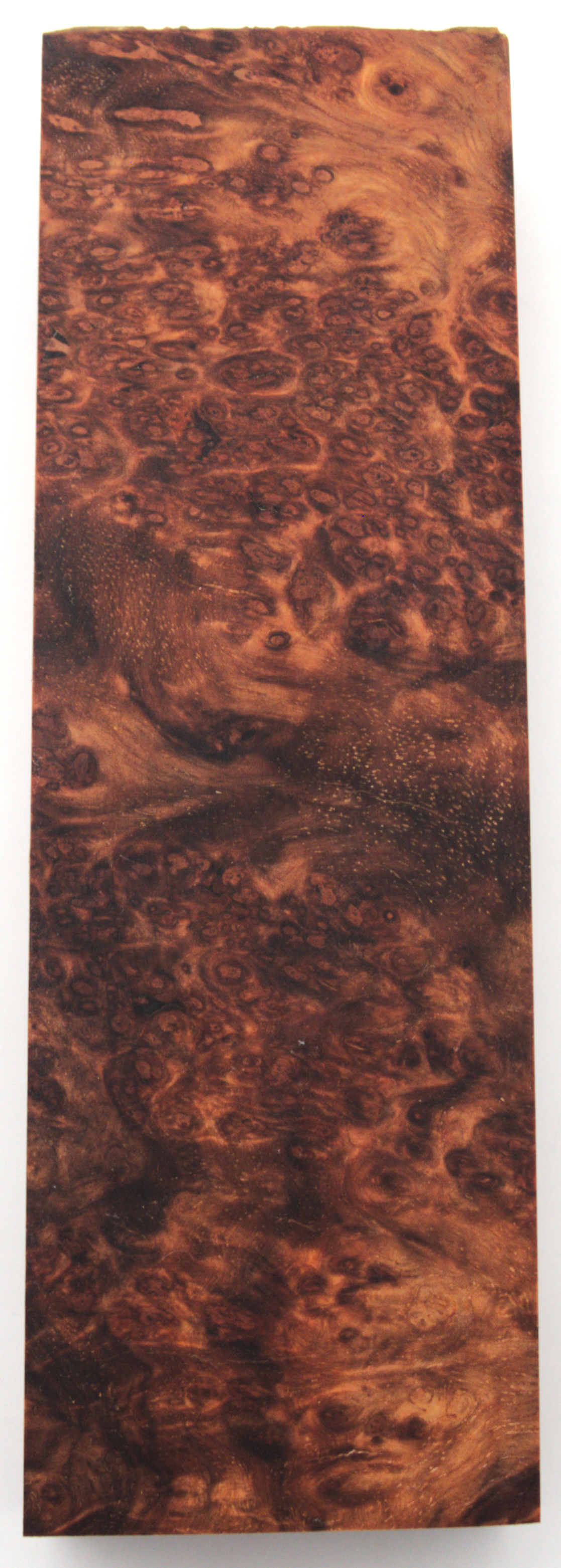 Stabilized Amboyna #40