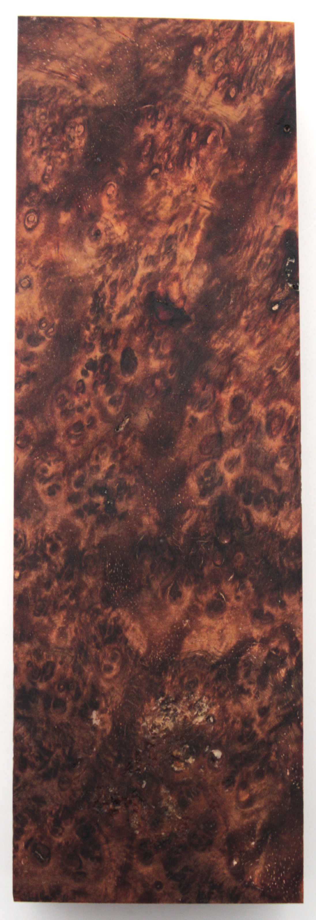 Stabilized Amboyna #41