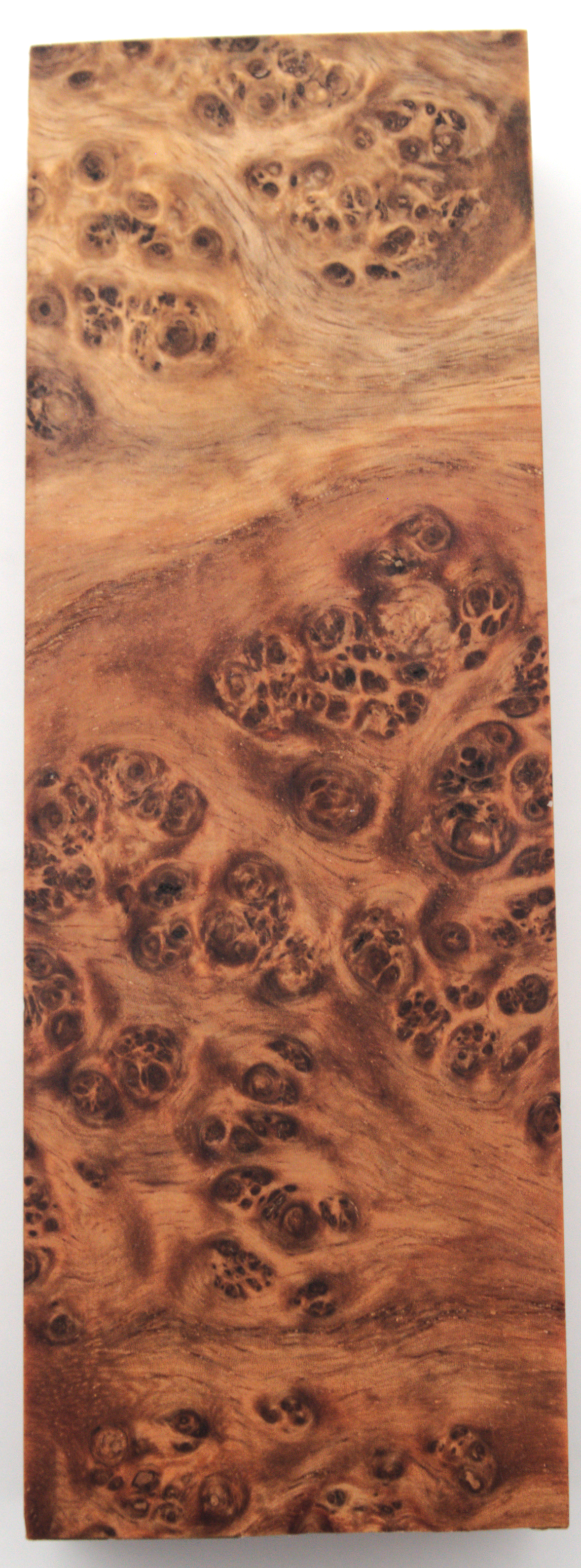 Stabilized Amboyna #42