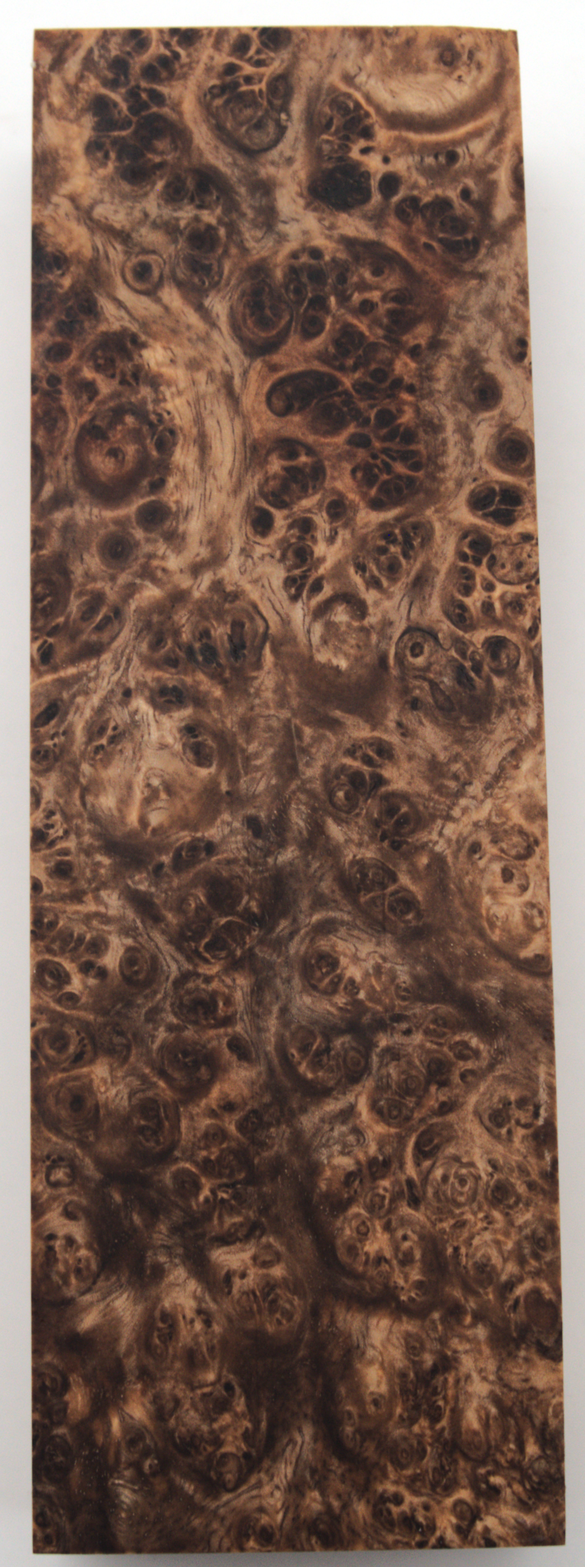 Stabilized Amboyna #43