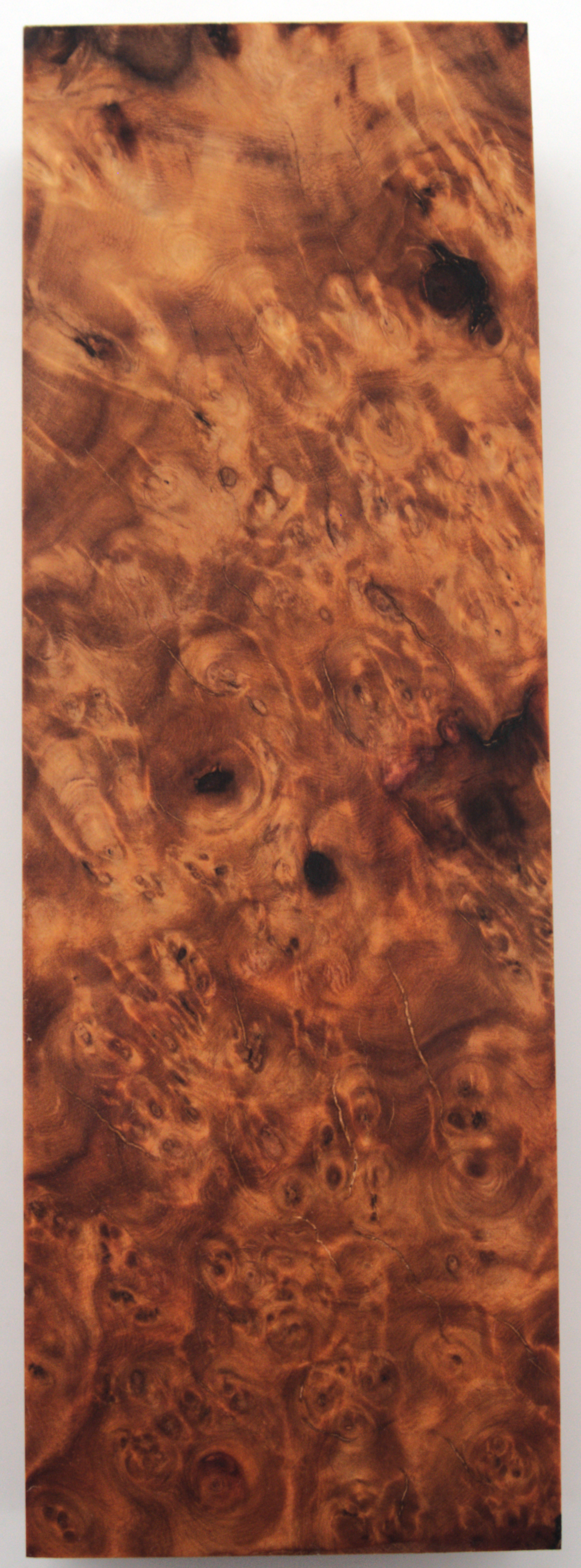 Stabilized Amboyna #45