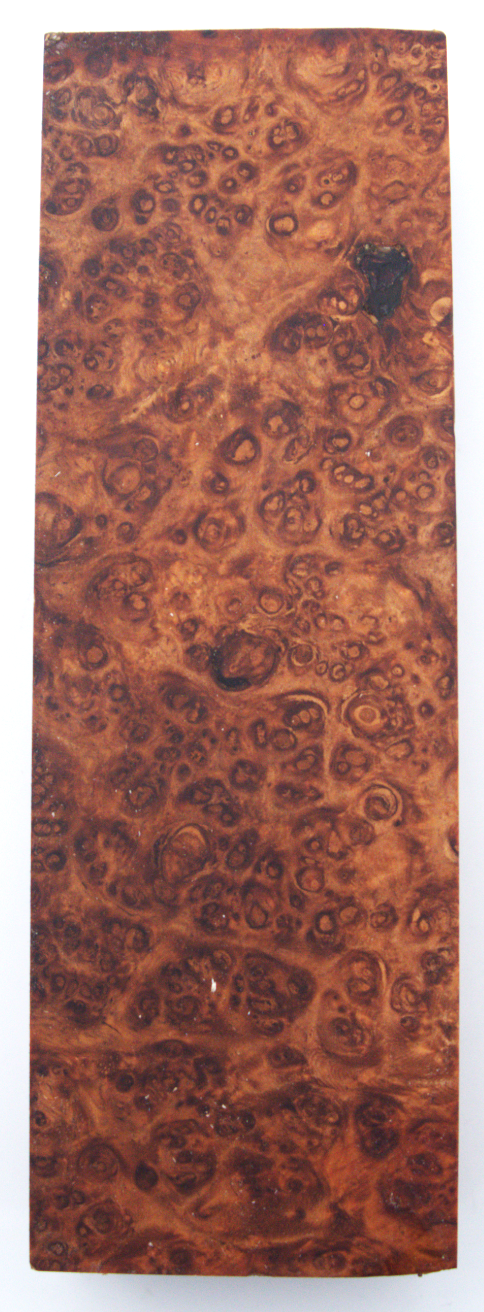 Stabilisierte Amboina #55