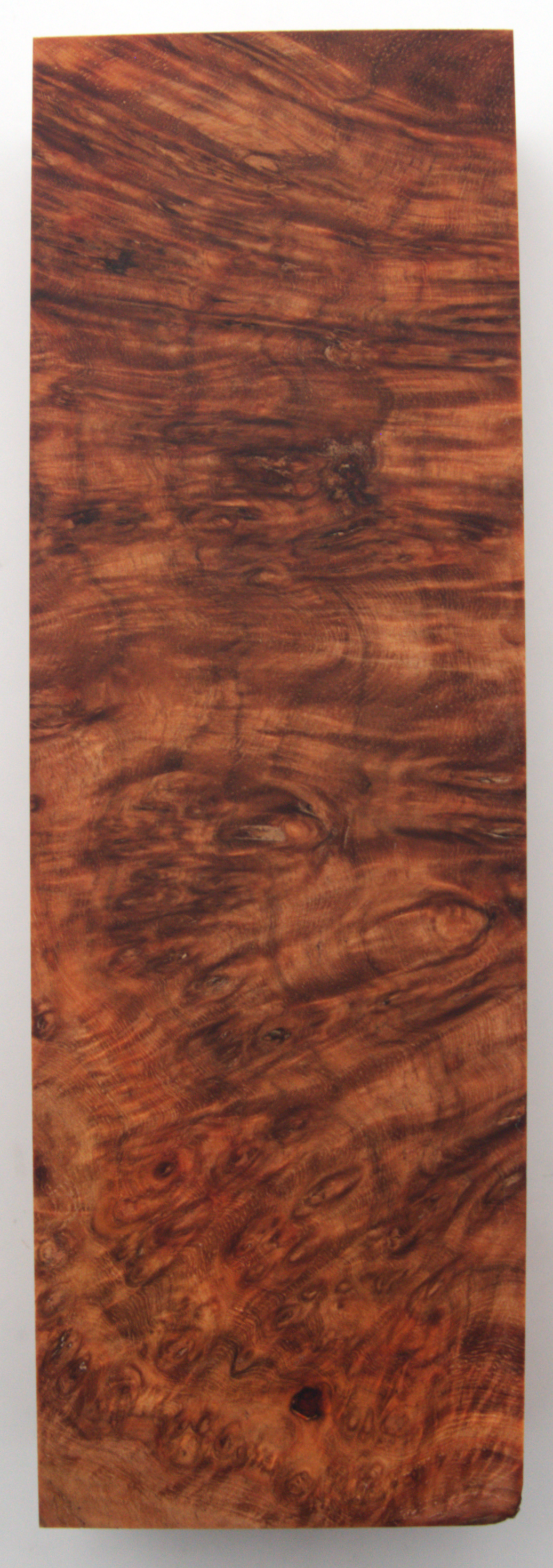 Stabilisierte Amboina #57