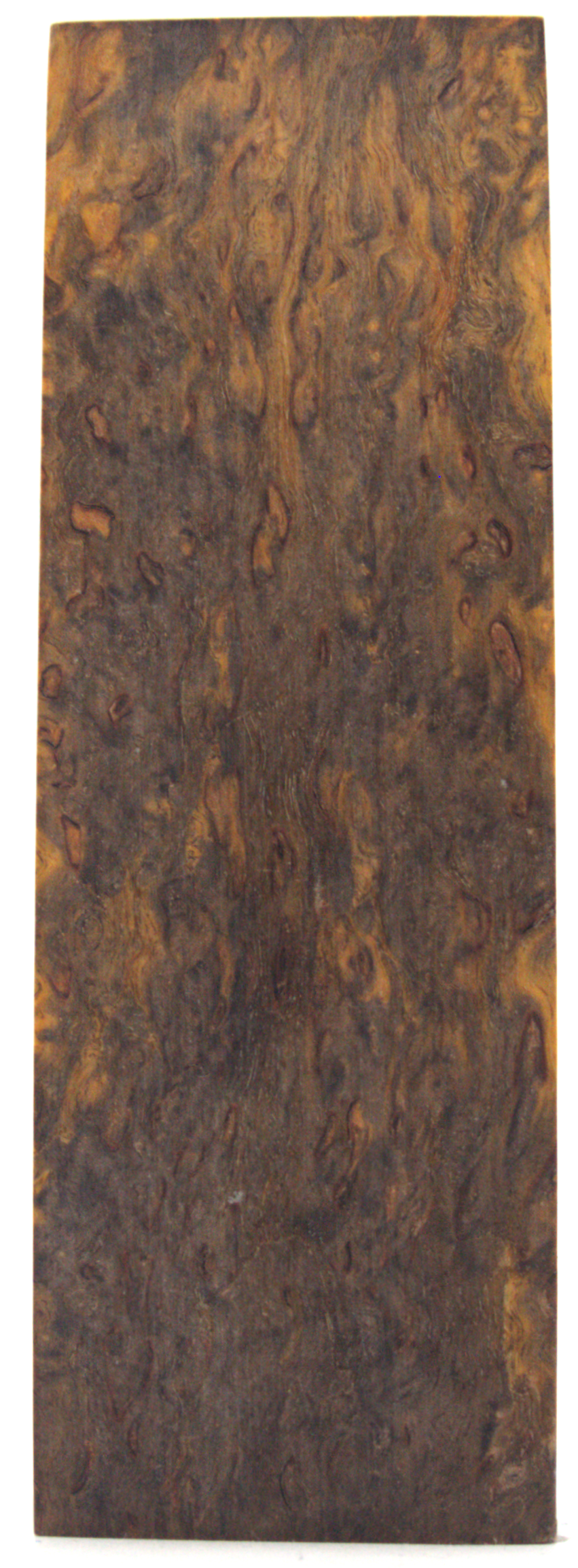 Karelian curly birch #63