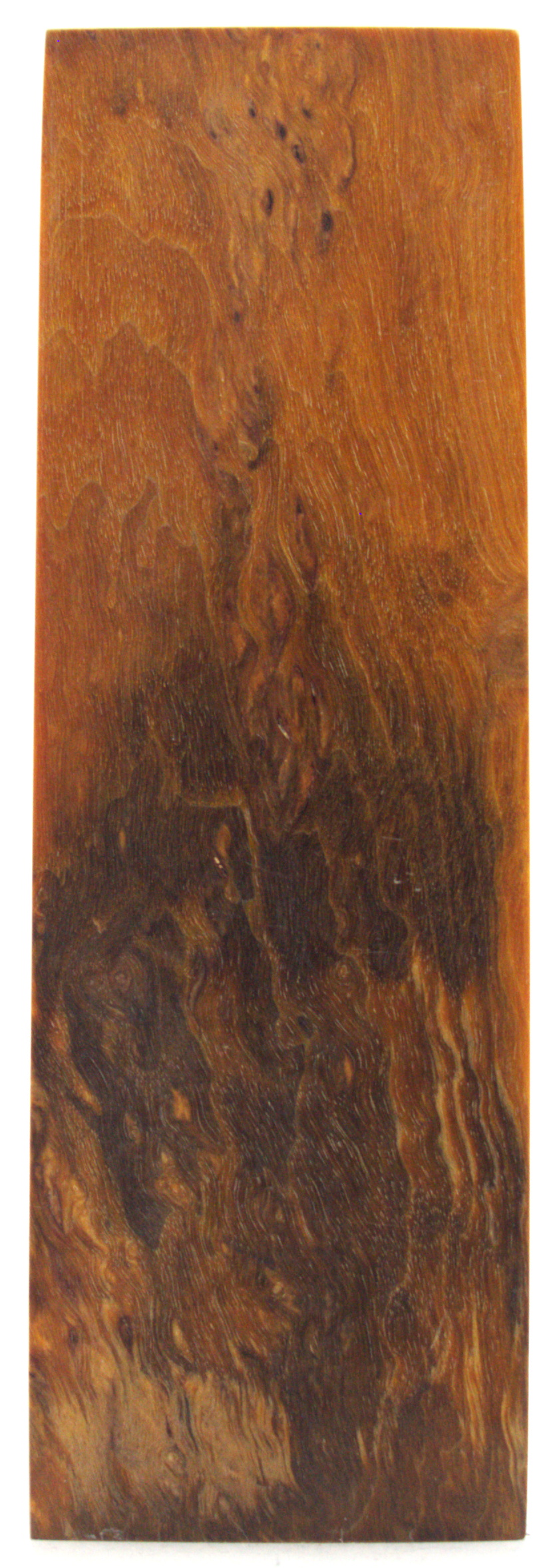 Karelian curly birch #73