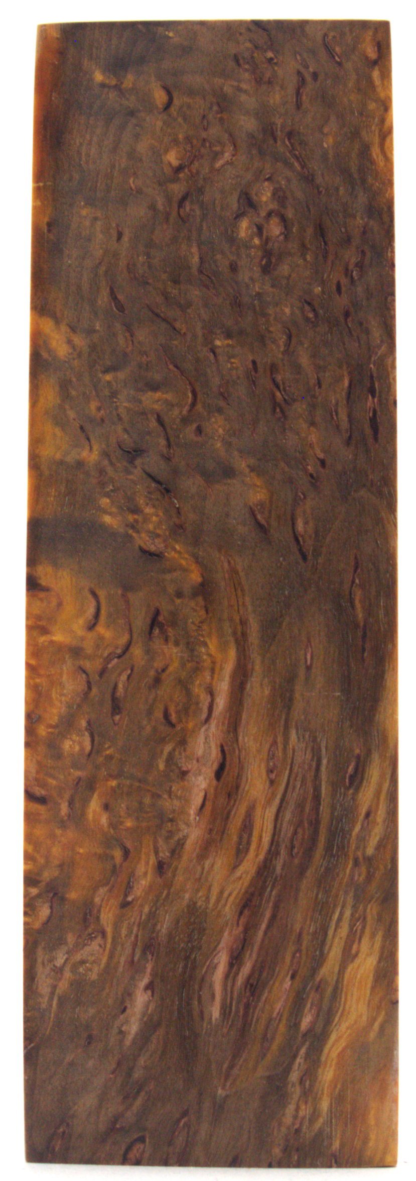 Karelian curly birch #73 - 0