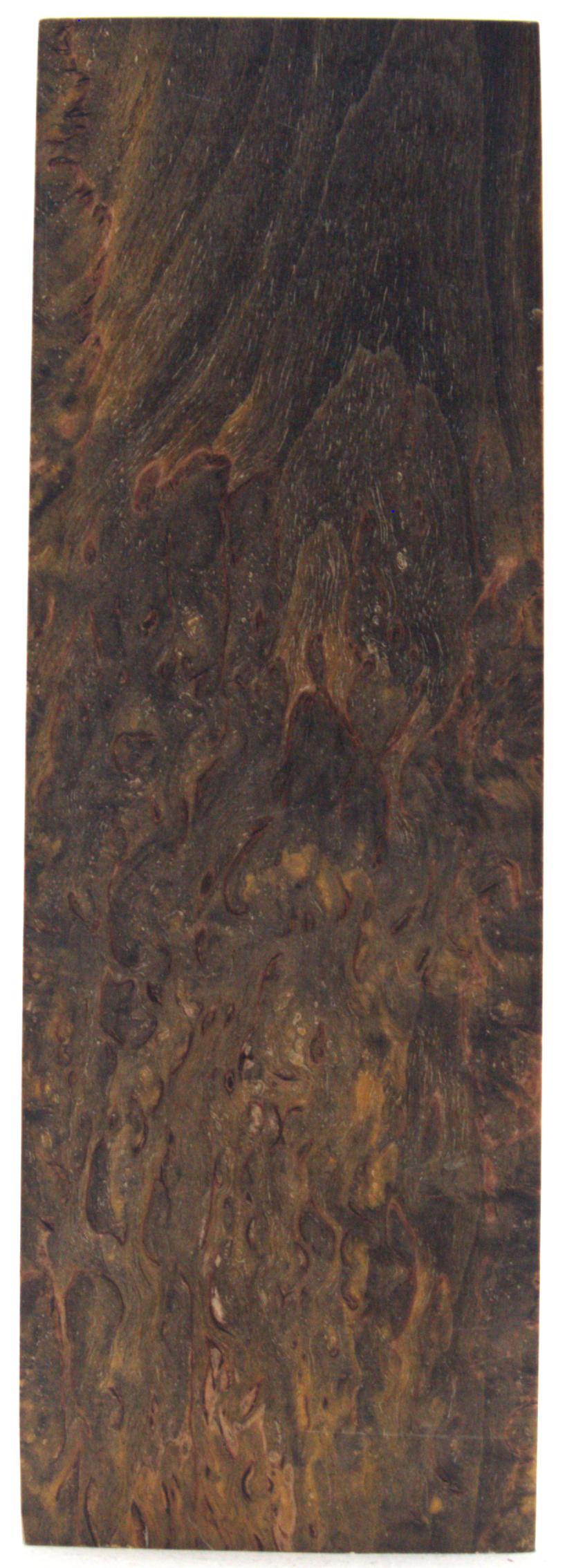 Karelian curly birch #74 - 0