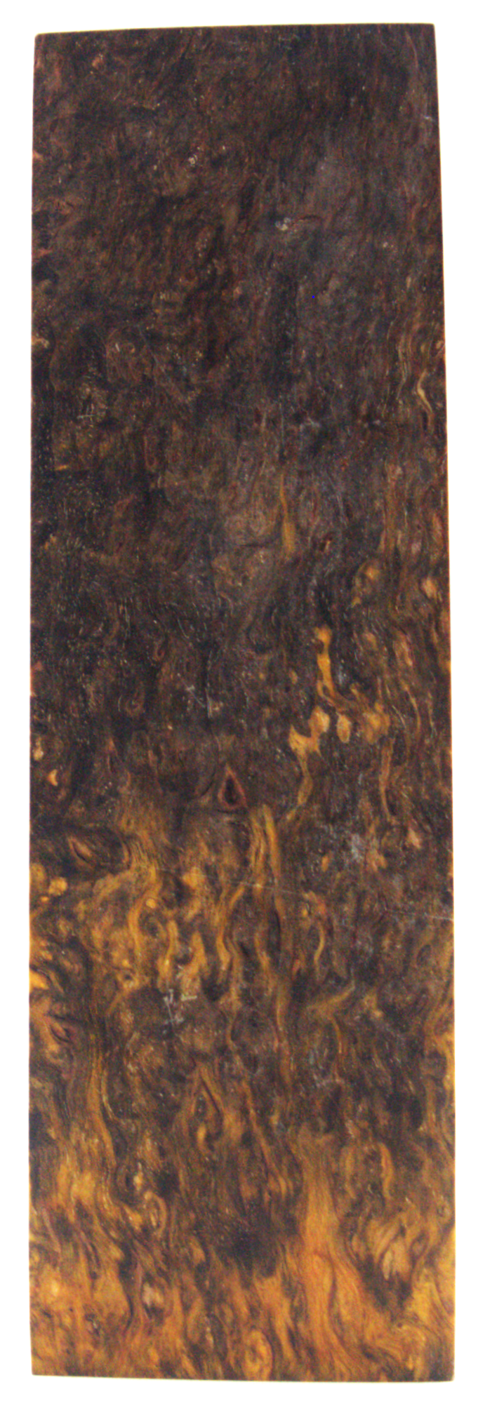 Karelian curly birch #96