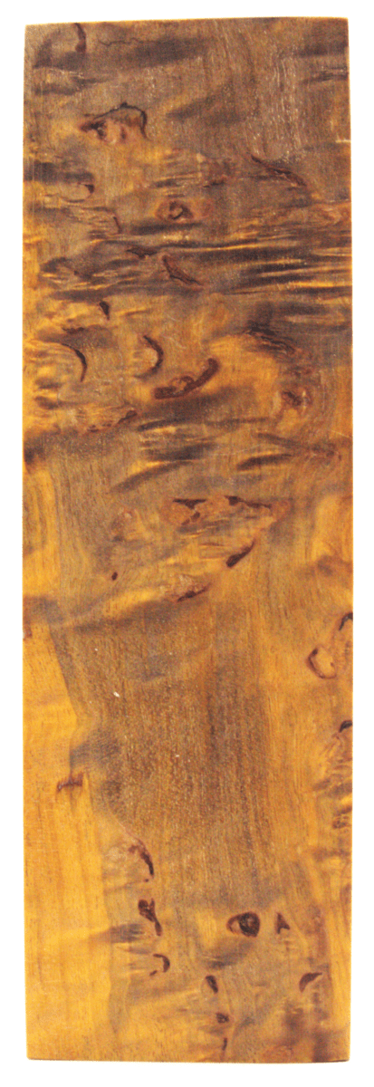Karelische Maserbirke 103 - Knifematerial.at